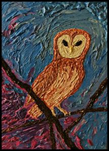 Barn Owl (Tyto Alba).