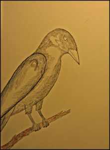 Crow sits on a pen drawn branch.