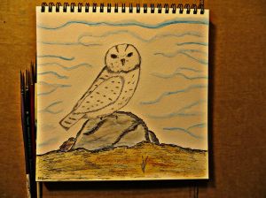 Snowy owl small watercolor illustration study.