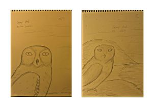 Snowy Owl sketches in a book of paper.