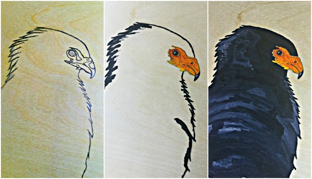 bateleur profile rundoown