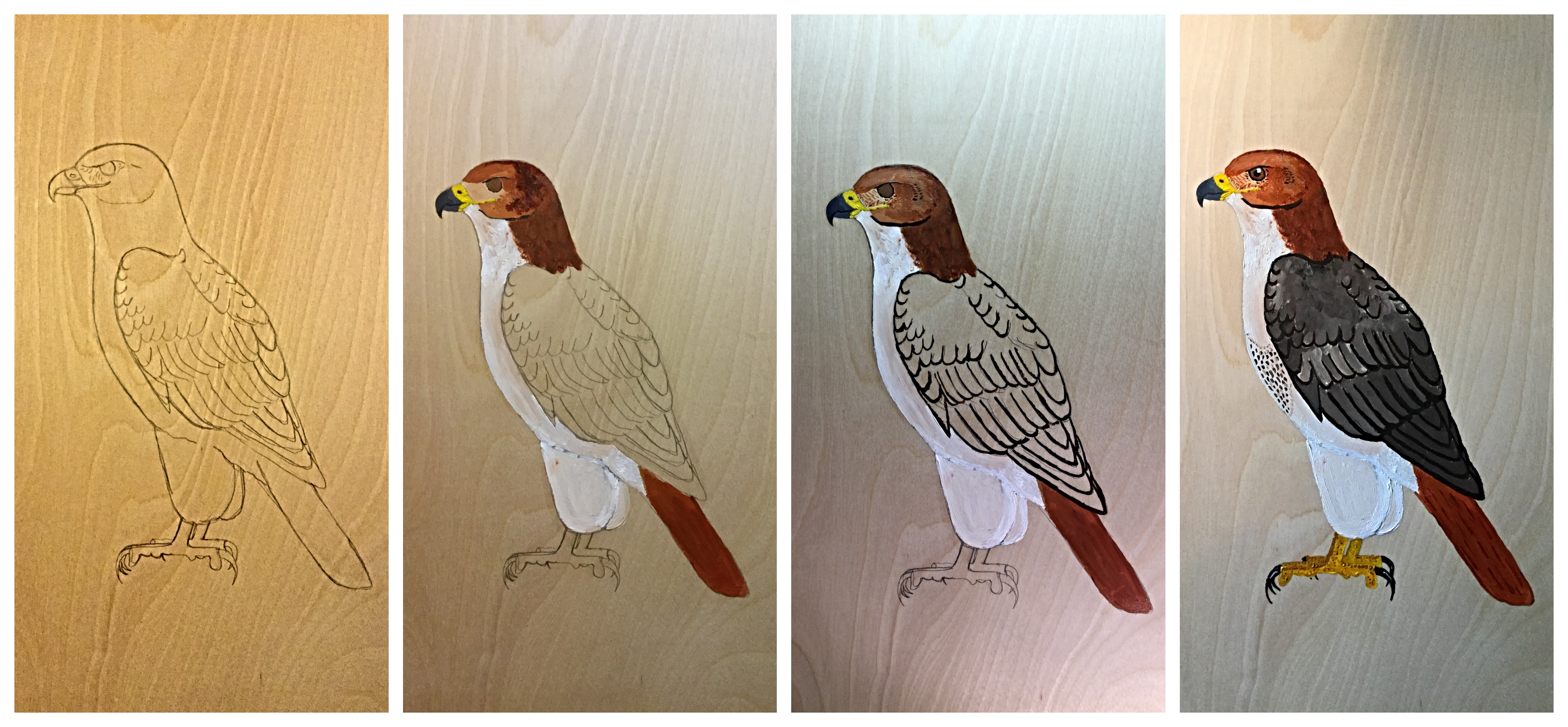 february rtha process