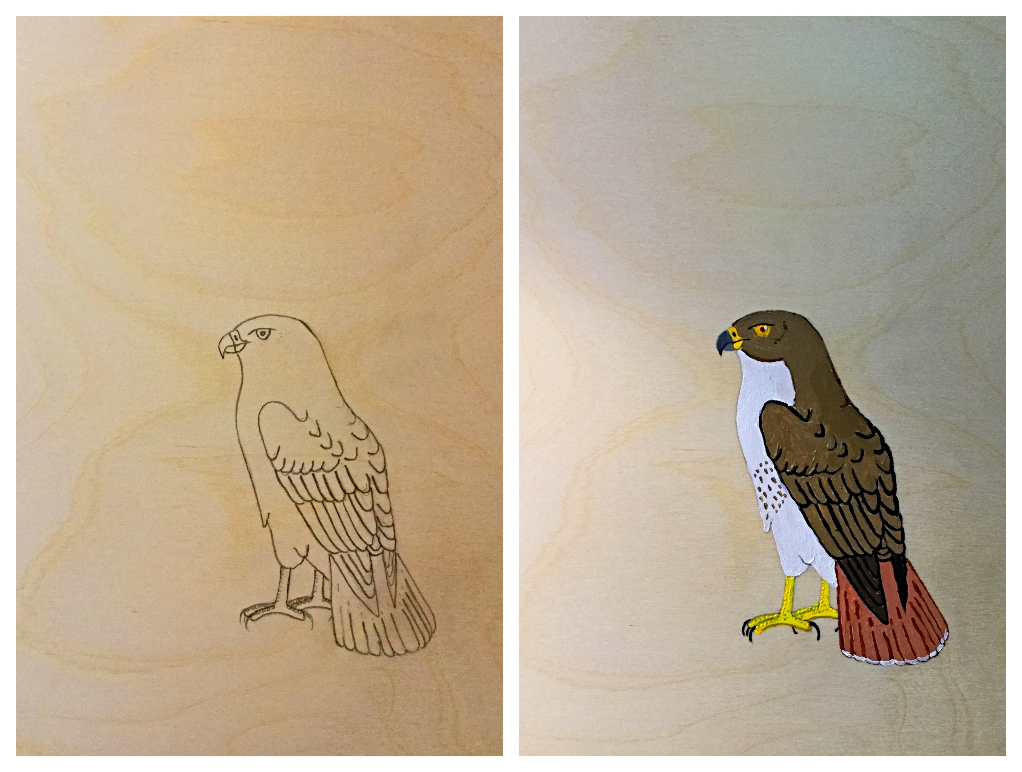 rtha panel paired 999